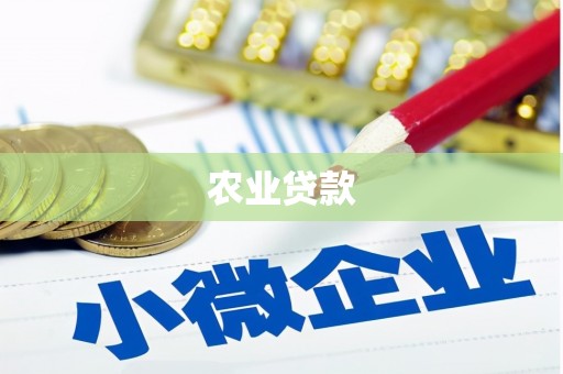 浦东农业贷款