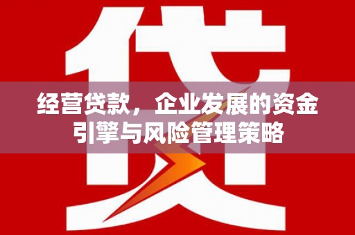 浦东经营贷款，企业发展的资金引擎与风险管理策略