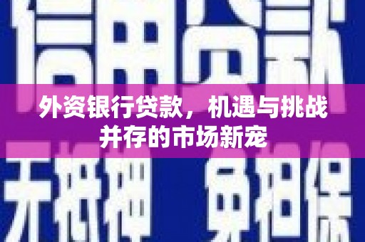 浦东外资银行贷款，机遇与挑战并存的市场新宠