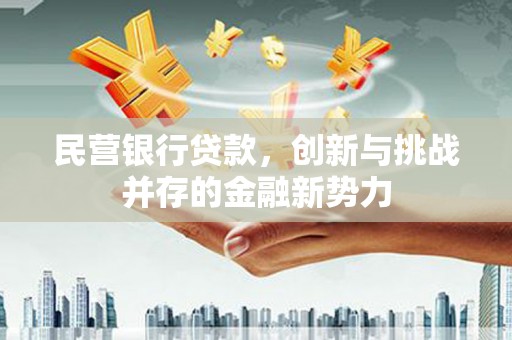 浦东民营银行贷款，创新与挑战并存的金融新势力