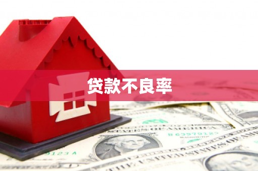 浦东贷款不良率