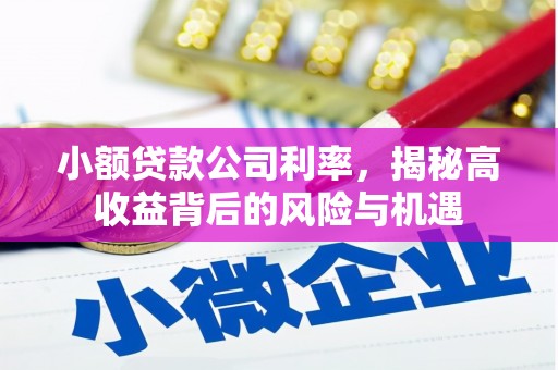 浦东小额贷款公司利率，揭秘高收益背后的风险与机遇