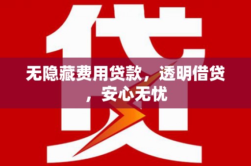浦东无隐藏费用贷款，透明借贷，安心无忧