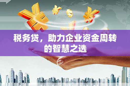 浦东税务贷，助力企业资金周转的智慧之选