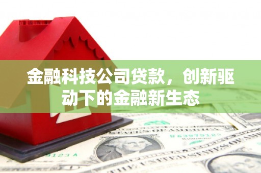 浦东金融科技公司贷款，创新驱动下的金融新生态