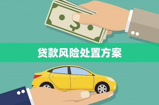 浦东贷款风险处置方案