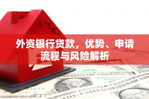 浦东外资银行贷款，优势、申请流程与风险解析