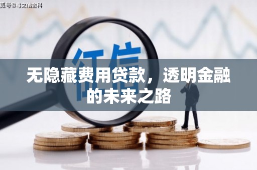 浦东无隐藏费用贷款，透明金融的未来之路