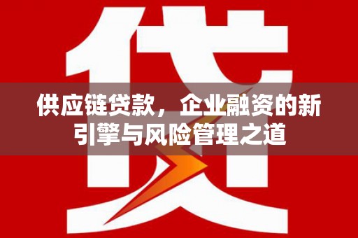 浦东供应链贷款，企业融资的新引擎与风险管理之道
