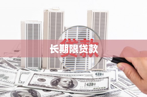 浦东长期限贷款