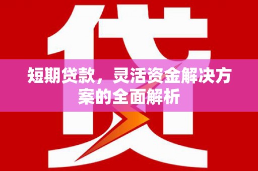 浦东短期贷款，灵活资金解决方案的全面解析
