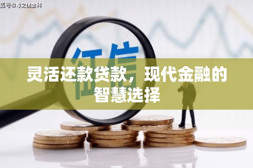 浦东灵活还款贷款，现代金融的智慧选择