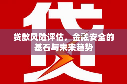 浦东贷款风险评估，金融安全的基石与未来趋势