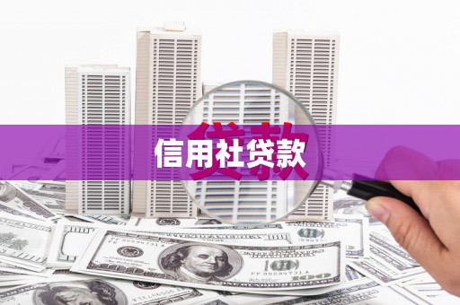 浦东信用社贷款