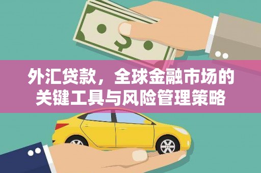 浦东外汇贷款，全球金融市场的关键工具与风险管理策略