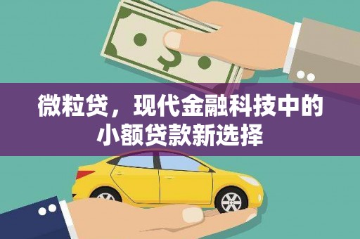 浦东微粒贷，现代金融科技中的小额贷款新选择