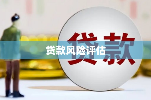 浦东贷款风险评估