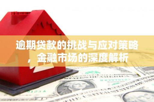 浦东逾期贷款的挑战与应对策略，金融市场的深度解析