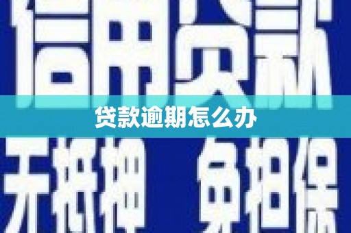 浦东贷款逾期怎么办