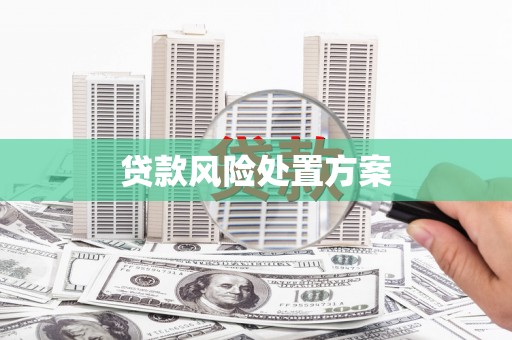 浦东贷款风险处置方案