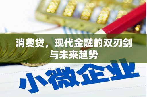 浦东消费贷，现代金融的双刃剑与未来趋势