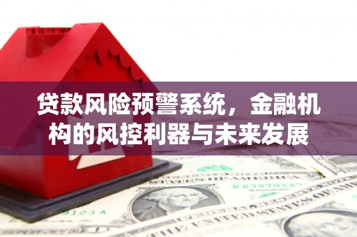 浦东贷款风险预警系统，金融机构的风控利器与未来发展