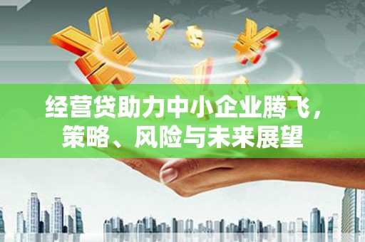 浦东经营贷助力中小企业腾飞，策略、风险与未来展望