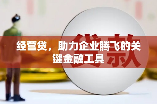 浦东经营贷，助力企业腾飞的关键金融工具