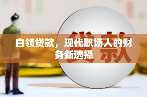 浦东白领贷款，现代职场人的财务新选择