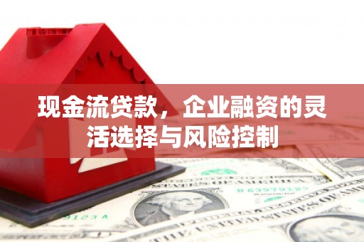 浦东现金流贷款，企业融资的灵活选择与风险控制