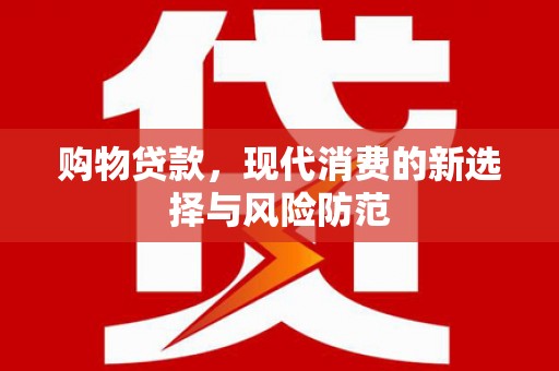 浦东购物贷款，现代消费的新选择与风险防范