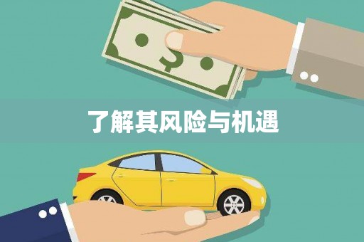 浦东了解其风险与机遇
