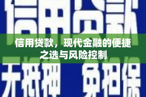 浦东信用贷款，现代金融的便捷之选与风险控制