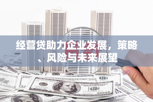 浦东经营贷助力企业发展，策略、风险与未来展望