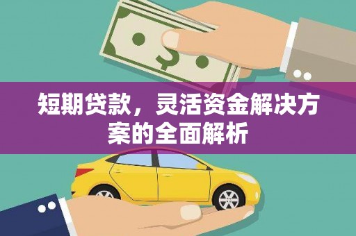 浦东短期贷款，灵活资金解决方案的全面解析