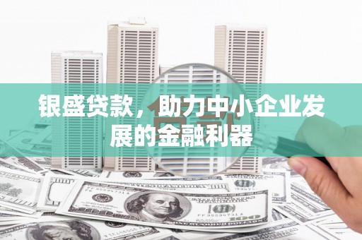 浦东银盛贷款，助力中小企业发展的金融利器