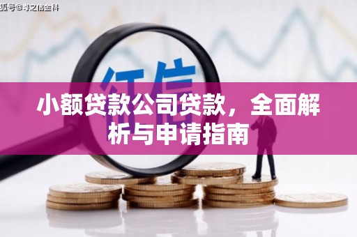 浦东小额贷款公司贷款，全面解析与申请指南