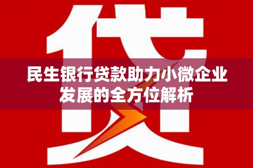 浦东民生银行贷款助力小微企业发展的全方位解析