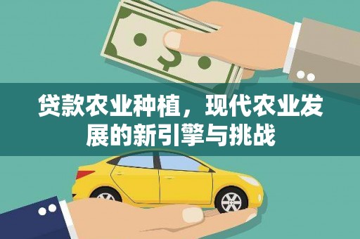 浦东贷款农业种植，现代农业发展的新引擎与挑战