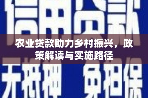 浦东农业贷款助力乡村振兴，政策解读与实施路径