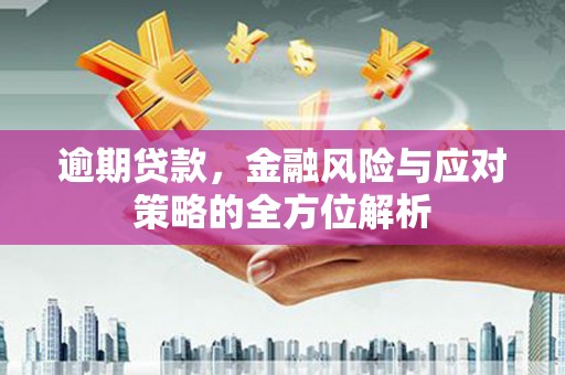 浦东逾期贷款，金融风险与应对策略的全方位解析