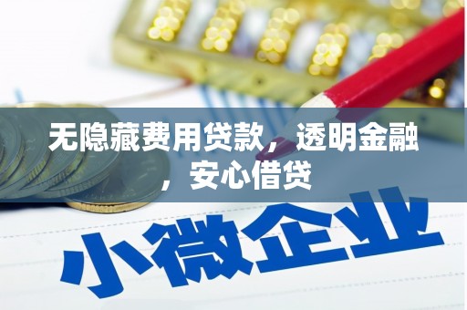 浦东无隐藏费用贷款，透明金融，安心借贷