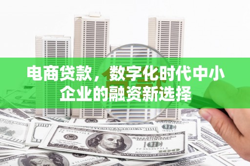 浦东电商贷款，数字化时代中小企业的融资新选择