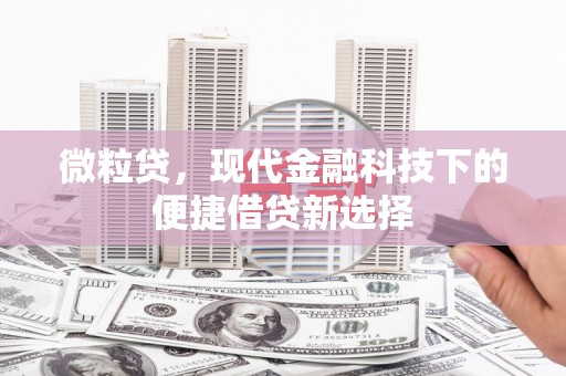 浦东微粒贷，现代金融科技下的便捷借贷新选择