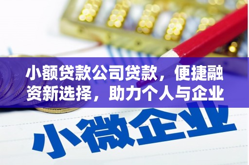 浦东小额贷款公司贷款，便捷融资新选择，助力个人与企业成长