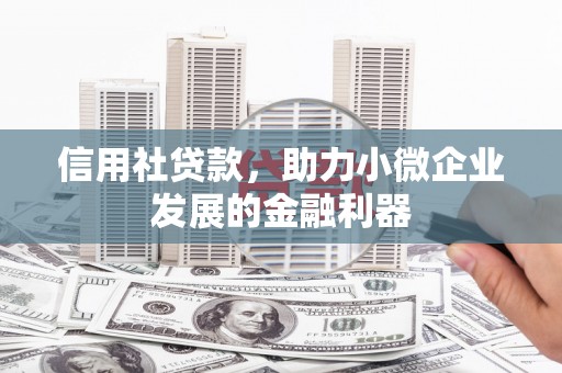浦东信用社贷款，助力小微企业发展的金融利器