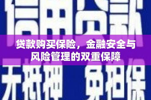 浦东贷款购买保险，金融安全与风险管理的双重保障