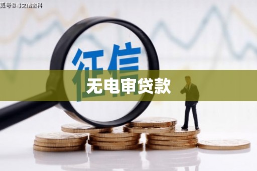 浦东无电审贷款