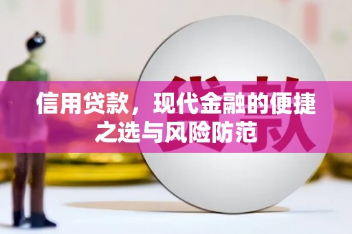 浦东信用贷款，现代金融的便捷之选与风险防范