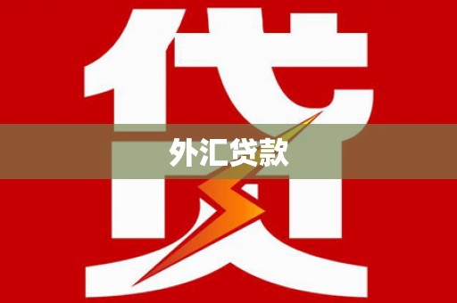 浦东外汇贷款